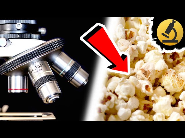Popcorn Under the Microscope