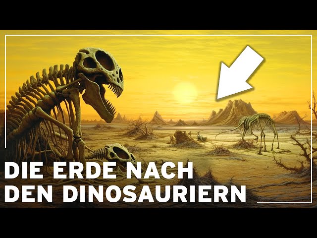 Das vergessene Zeitalter: Was geschah wirklich NACH dem Aussterben der Dinosaurier ? | Dokumentation