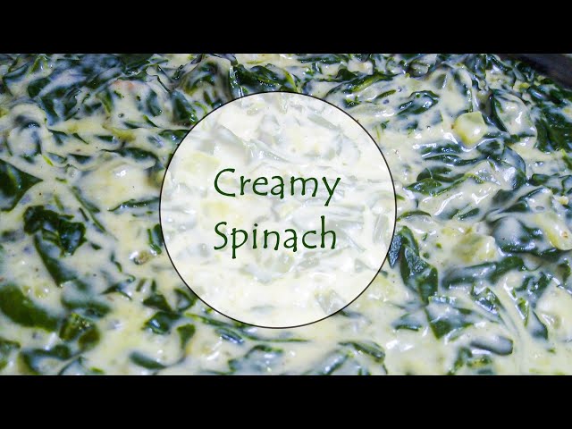CREAMY SPINACH |SOUTH AFRICAN YOUTUBER