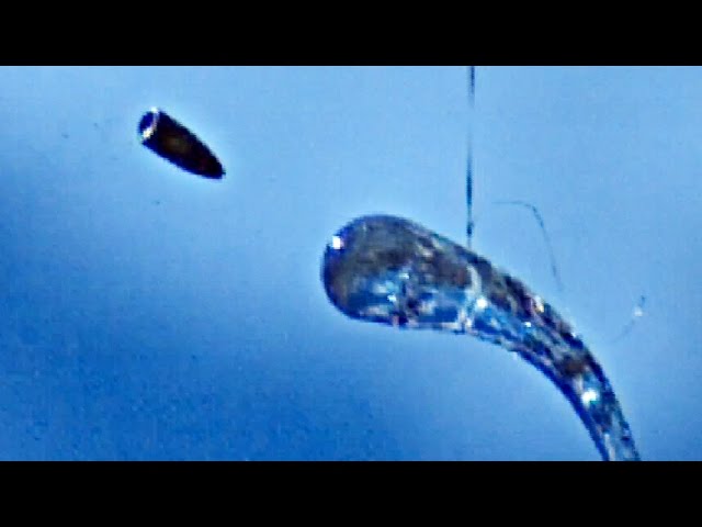 AK-47 vs Prince Rupert's Drop (at 223,000 FPS) - Smarter Every Day 170