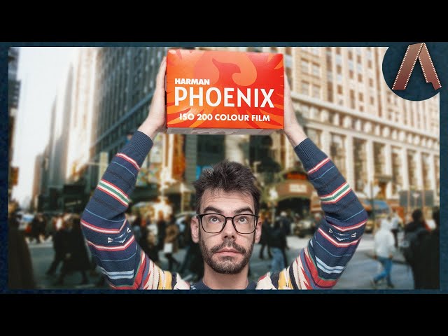 HARMAN PHOENIX 200 in New York | A Completely New 35mm Colour Film