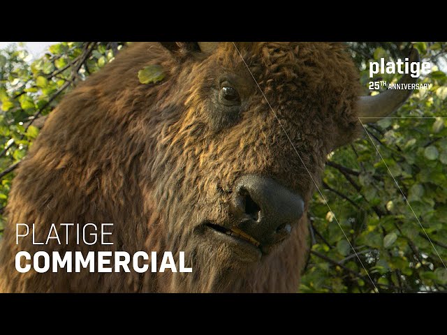 Platige Commercials || 25th Anniversary