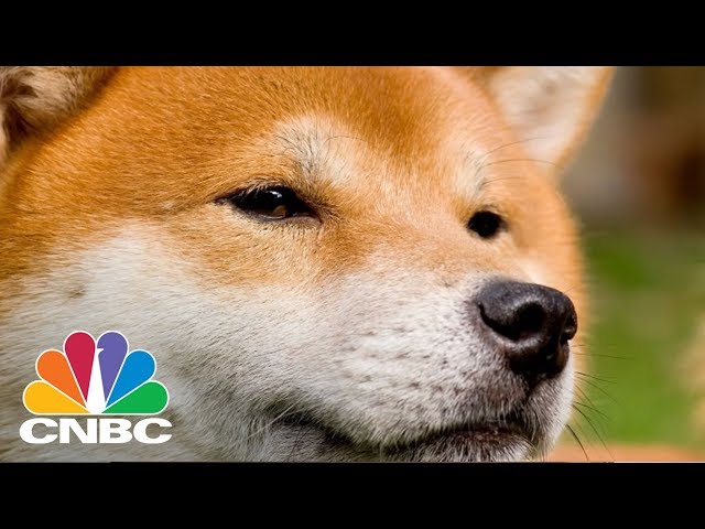 Dogecoin Was Created As A Parody, Now It's Worth More Than $1 Billion | CNBC