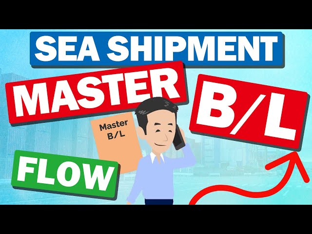 Flow of Master B/L of Ocean Freight Forwarding by Container. Explained S/I and B/L Instruction.