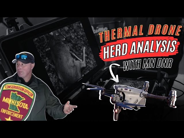 Herd Analysis with the MN DNR (3 DRONE PILOTS)