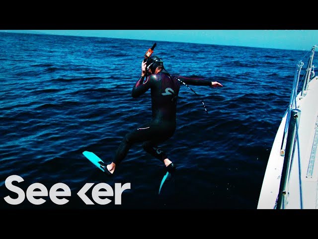 LIVE: Ben Lecomte Begins His 5,500-Mile Swim Across the Pacific Ocean