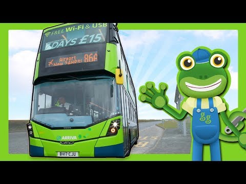 Real Buses, Trucks and Vehicles For Children