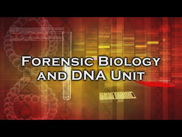 Inside the Crime Lab: Forensic Biology DNA Unit