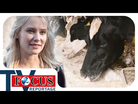 Bauern in der Krise: Wie Landwirte um ihre Existenz kämpfen | Focus TV Reportage