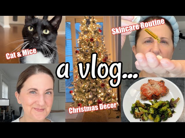 My Typical Day / My Simple Skincare Routine / Making Dinner / my cat 😳 / vlog