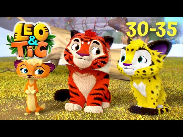 Leo and Tig - All Episodes In A Row 🦁 (Episode 30-35) 🦁 Cartoon for kids Kedoo Toons TV