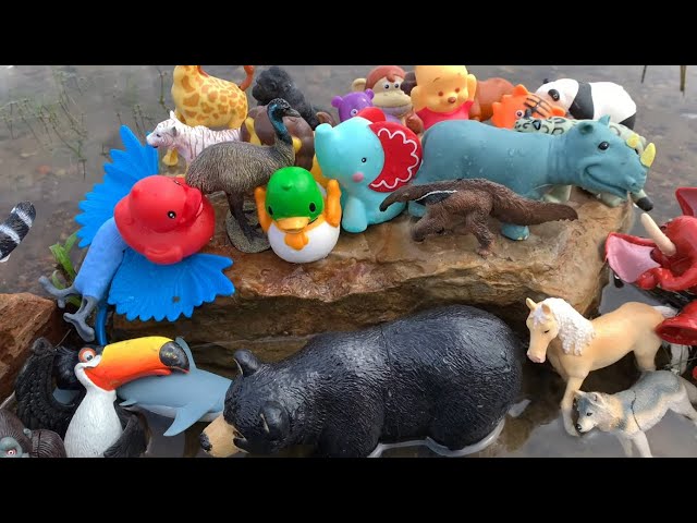 Various Zoo Animal Toys
