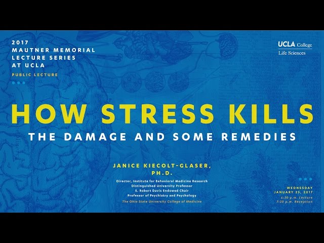 2017 Mautner Memorial Lecture: "How Stress Kills"