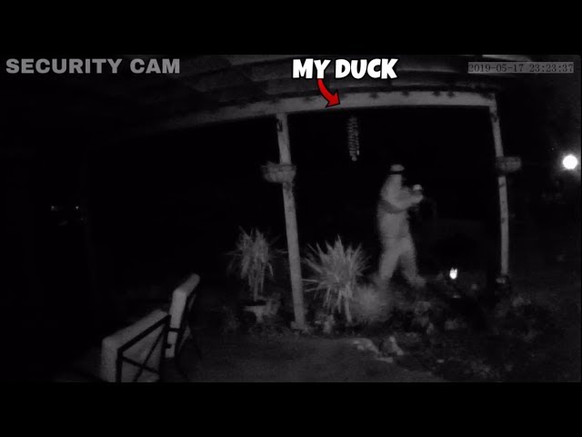 Someone Stole My Duck... Cops Called