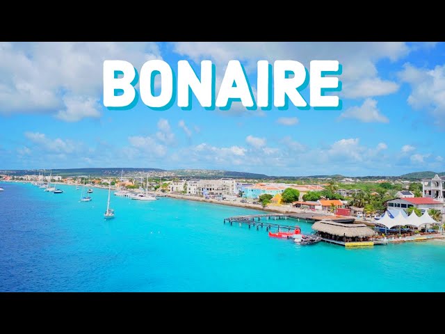 Bonaire: An Island Tour Of The Dutch Carribean