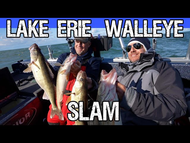 Lake Erie Walleye Slam (Trolling Large Water Tricks)