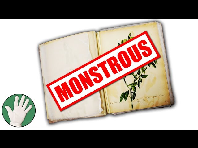 The Monstrous Cucumber - Objectivity 133