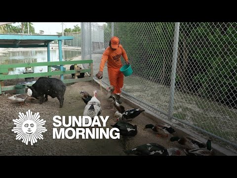 Feel Good & Inspiring Stories | CBS Sunday Morning