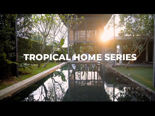 Tropical Home Series - Live Session with Alex