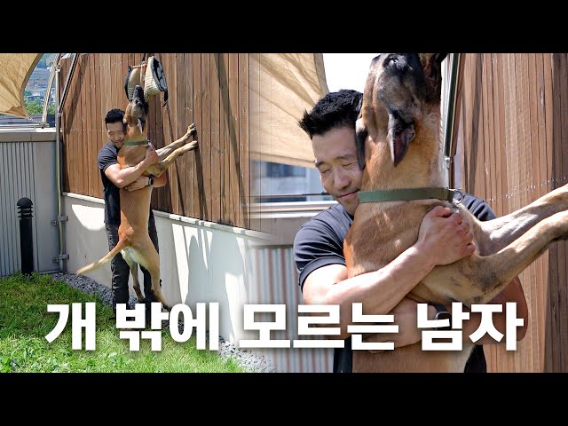 First reveal of Hyung-Wook's dogs' exercise routine.