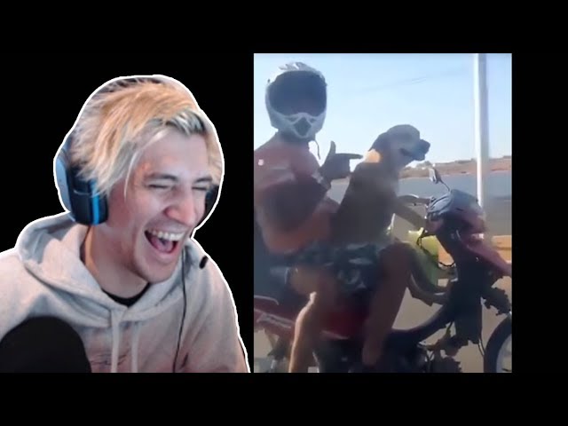 xQc Reacts To UNUSUAL MEMES COMPILATION V59