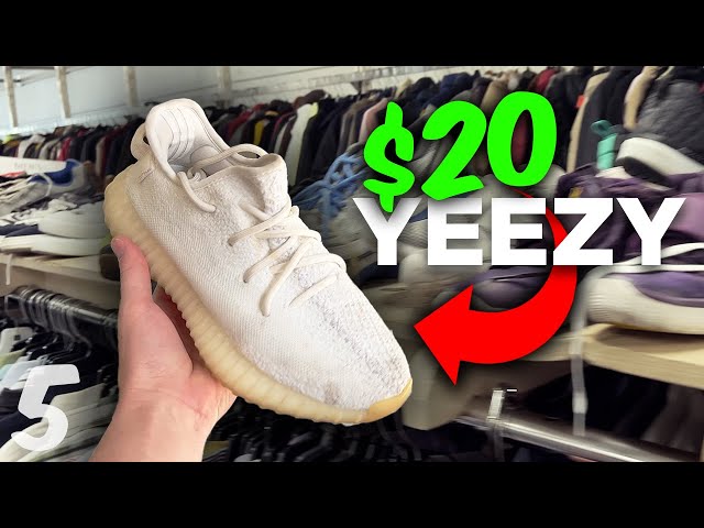 YEEZY 350s for $20 At The THRIFT? $20 SNEAKER Collection (Ep 5.)