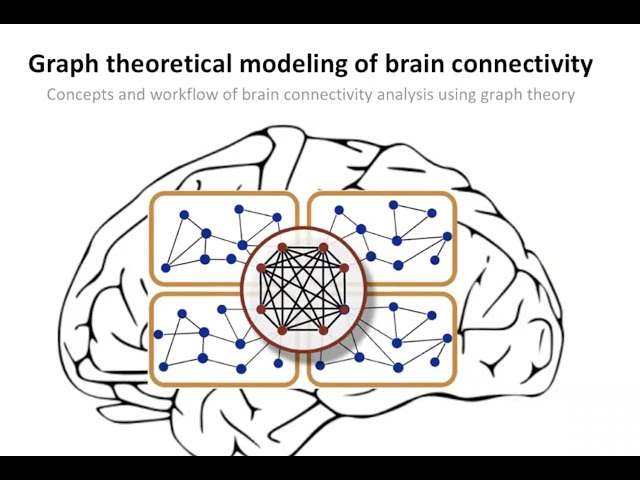 Introduction to Brain Network Analysis - Part 1/2.