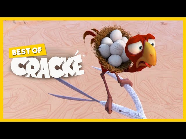 CRACKÉ - SUDDEN BREAK | Cartoon Animation | Compilation
