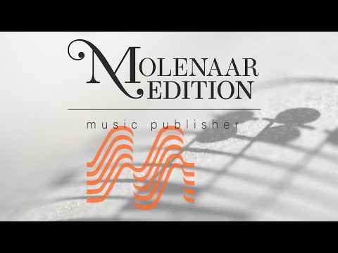 The Music of Michael Geisler - Flyer