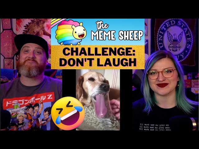 Challenge: don't laugh 😂 @TheMemeSheep1 | HatGuy & Nikki react