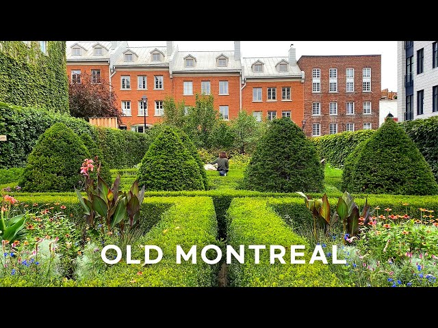 [4K]🇨🇦 Old Montreal: A peaceful and relaxing autumn morning  walk🏛⛪/Best Bagel🥯& Poutine🍟/Oct.2021