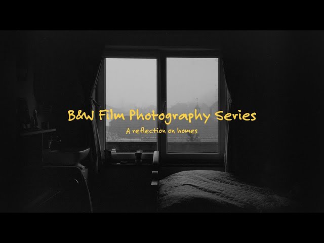 A B&W Film Photography Series I shot in December.