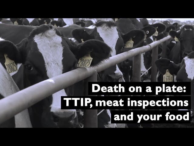 Death on a plate: TTIP and your food