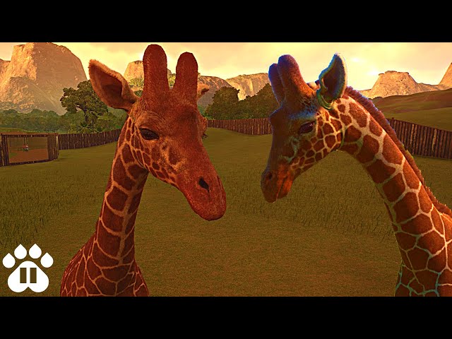 Adding Endangered African Animals into our Zoo! | Eco-Zoo | Planet Zoo Franchise Mode Ep7