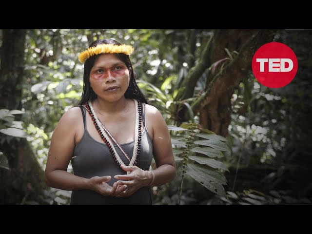 Nemonte Nenquimo: The forest is our teacher. It's time to respect it | TED Countdown
