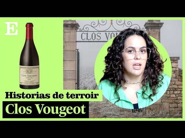 VINOS | Historias del Terroir: Clos de Vougeot, beber historia | EL PAÍS
