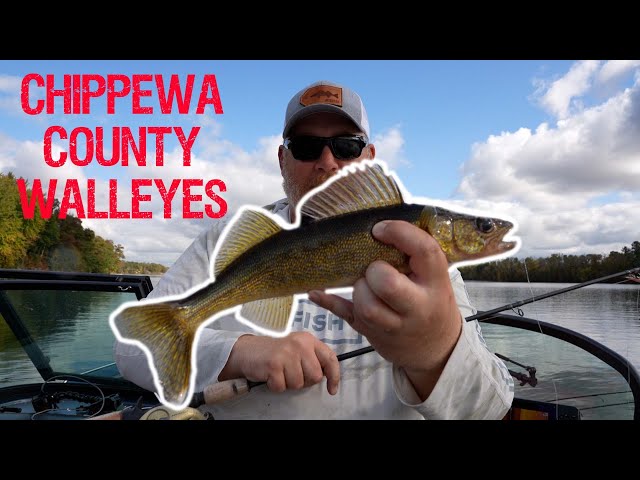 Walleyes in Chippewa County (WALLEYE TACTICS)