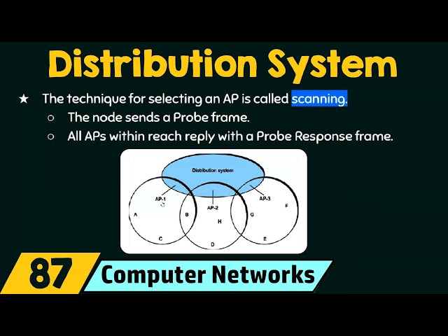 IEEE 802.11 Distribution System