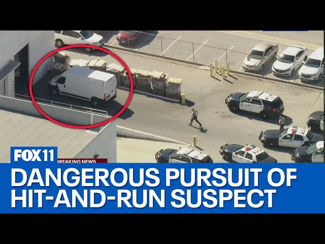 Police chase: Authorities in pursuit of alleged hit-and-run driver