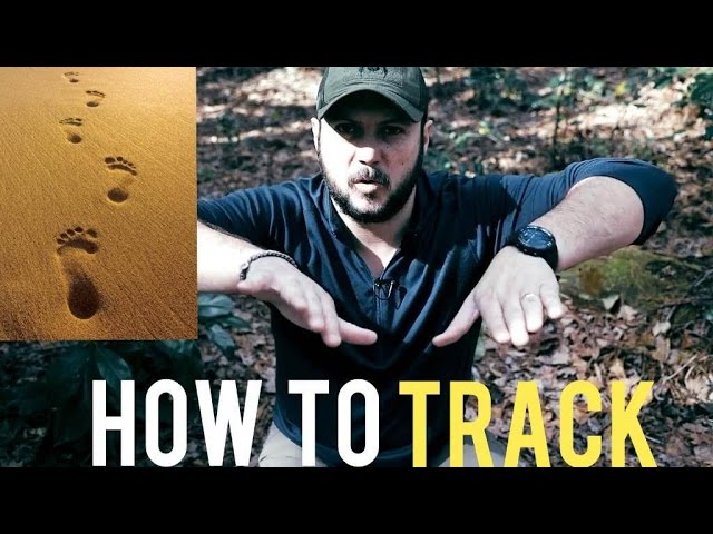 5 Techniques to Track Man