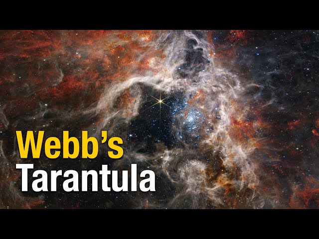 Webb's Tarantula (and Orion!) nebula are AMAZING!