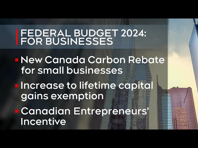 2024 FEDERAL BUDGET | Omar Sachedina and tax expert Tim Cestnick break down the numbers