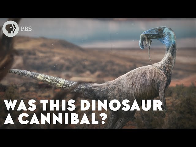 Was This Dinosaur a Cannibal?