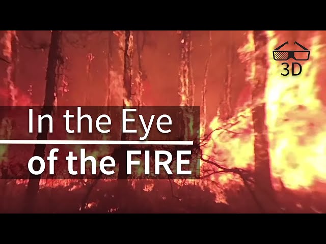 In the Eye of the Fire - 360° video