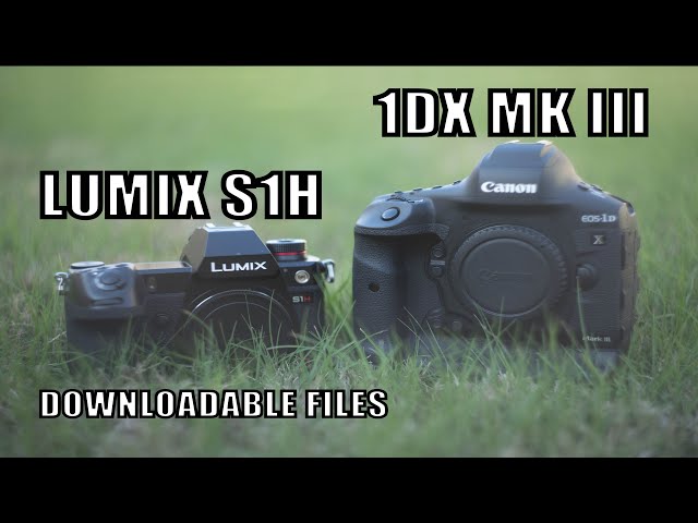 Canon 1DX Mark III vs Panasonic S1H