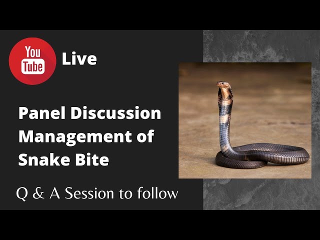 Snake Bite Management || Panel Discussion with Q & A