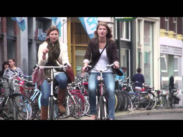 From the Netherlands  Translating the World's Best Bikeway Designs