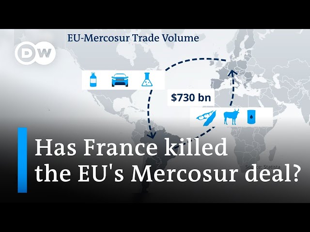 Is the disagreement over the EU-Mercosur deal playing into China's hands? | DW News