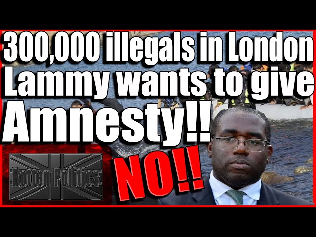 David Lammy wants to give 300 000 illegals amnesty