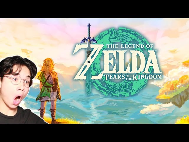 Legend of Zelda : Donkey Tears | By videogamedunkey | Waver Reacts